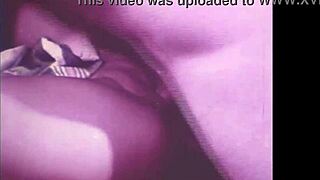Dark Lantern Entertainment Unveils Vintage Taboo Family Fantasy with Shaved Desire