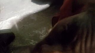 First part of the verification video