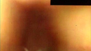 The top collection of hot porn videos with wet pussies