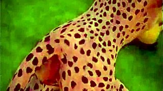 Lesbians in the wild having sex