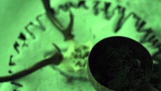 Austrian goatsuckers and black metal porn lovers rejoice
