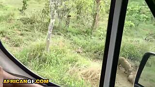 African Girlfriend Sucks My White Cock After Wild Safari Dating Adventure