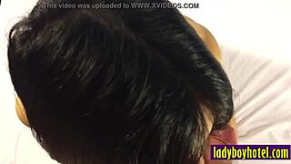 White guy sucks Mimi's hard shemale dick before anal pounding