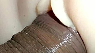Beautiful shemale Candy’s first time in missionary position on the desk