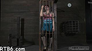 four stunning beauties locked inside a petite cage for wild fun