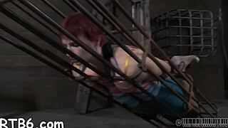 Four beautiful women in a small cage and they are willing to satisfy you in every way