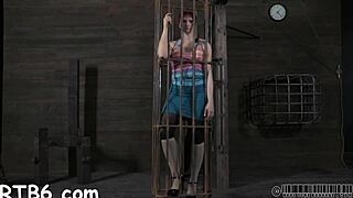 four stunning beauties locked inside a petite cage for wild fun