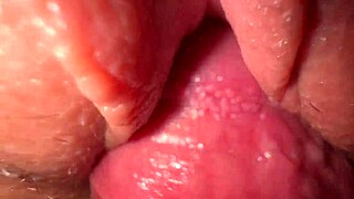 Ever Wondered How Tight a Stepsister’s Creamy Pussy Feels During a Quickie?