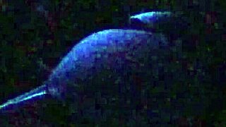 i can’t believe i caught this black-light secret model backstage getting wild