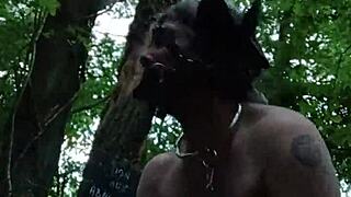 Female slave bound as ponygirl in forest outdoors
